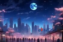 2025 年做网站 SEO 优化的意义：解锁流量增长新密码