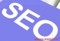 西安哪个网站可以做seo服务器？谷歌seo多久排名？