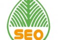 百度seo是什么网站优化？百度seo网站优化怎么办？